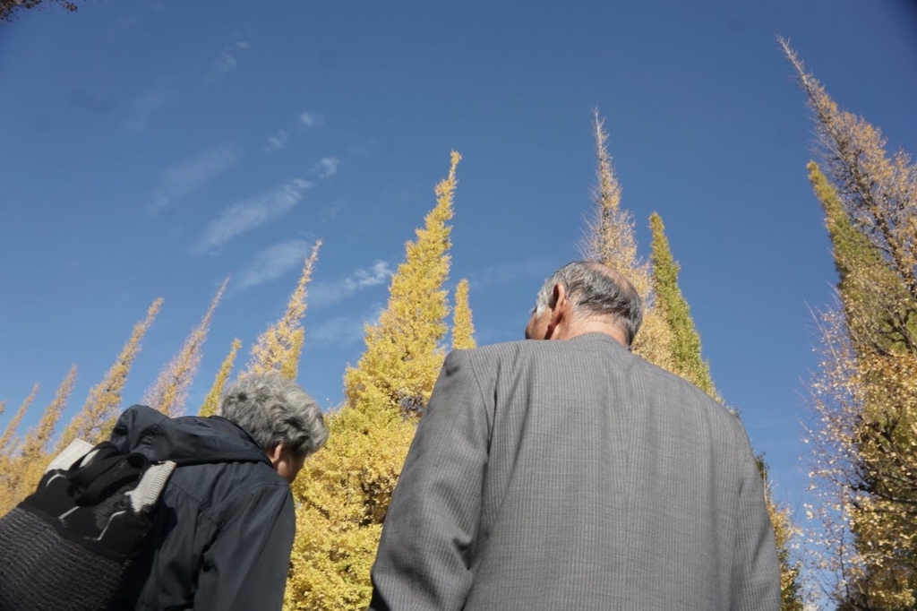 f:id:hitomedia_Tech_Blog:20171202084934j:plain