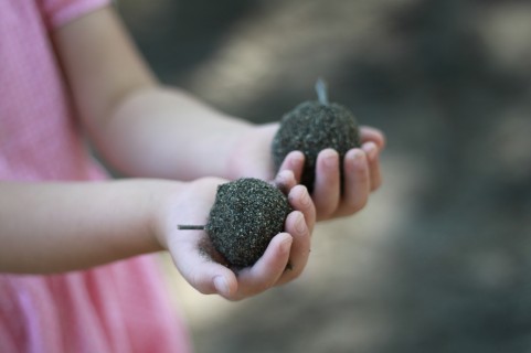 f:id:blauekatzen:20171218103655j:plain